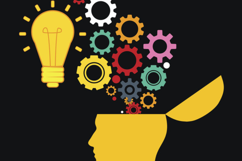 Brain & Cognitive Health Program