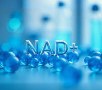 Longevity Treatments
